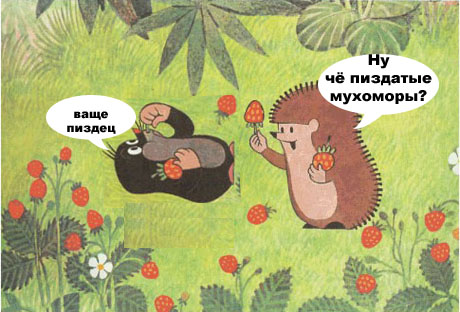 Юмор Про Грибы Картинки